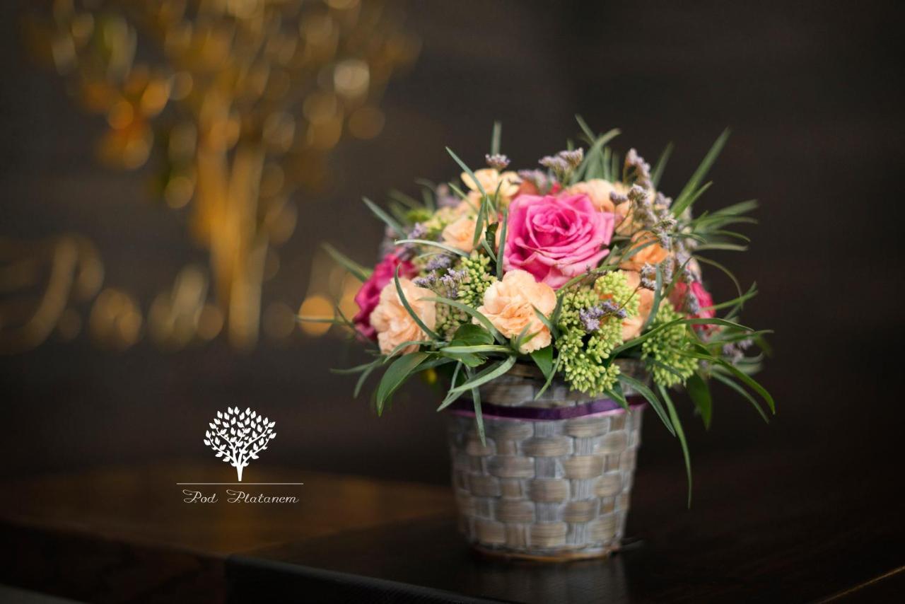 גליביצ'ה Szafirowy Dwor Hotel & Restauracja מראה חיצוני תמונה
