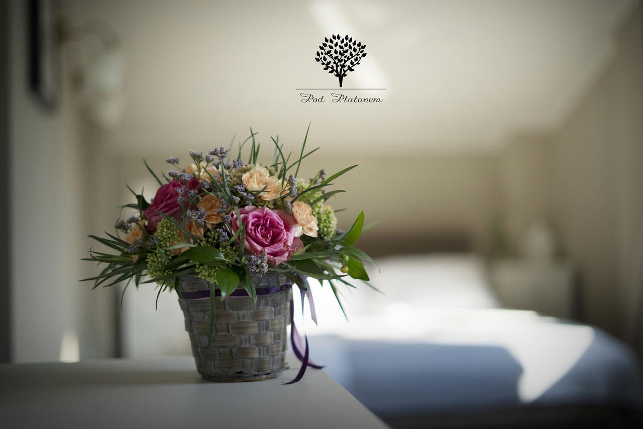 גליביצ'ה Szafirowy Dwor Hotel & Restauracja מראה חיצוני תמונה